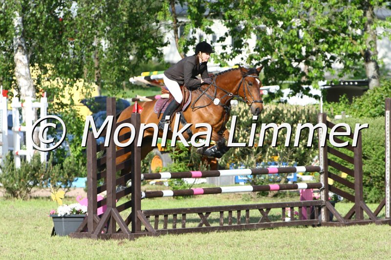 204M4863_Stardust Harry_Spring_Axx.JPG